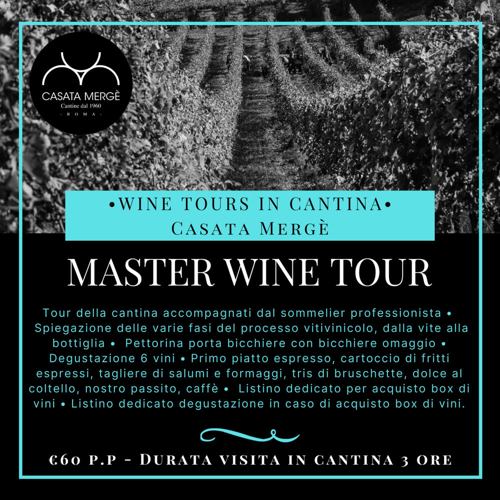 Master Wine Tour